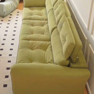 Avocado Green, Electric Sofa