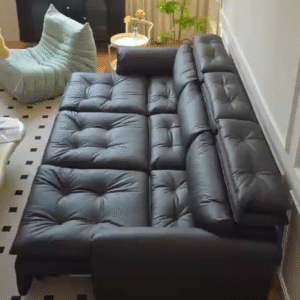 Black Electric Sofa